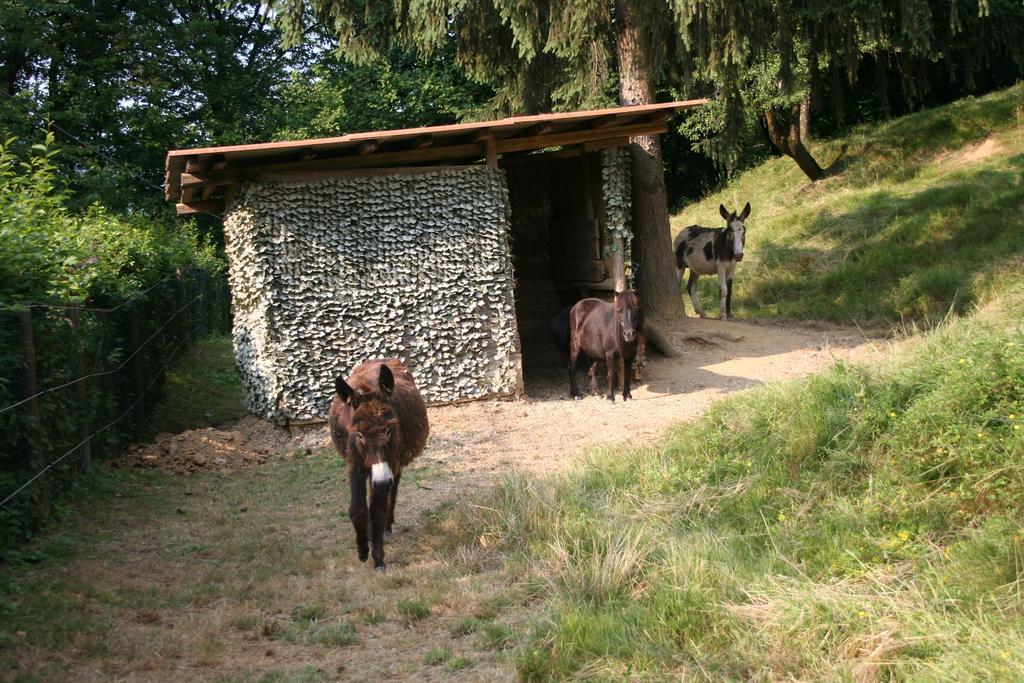 B&B La Casa Di Campagna Bergamo Exterior photo